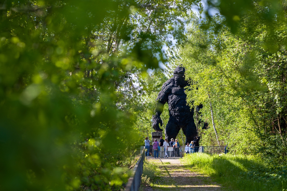 WKE Tag offenen Tuer 2023 31886