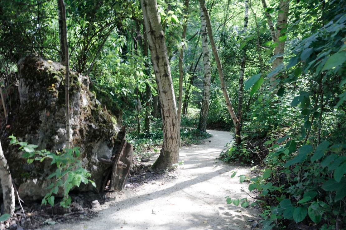 Paradies 1