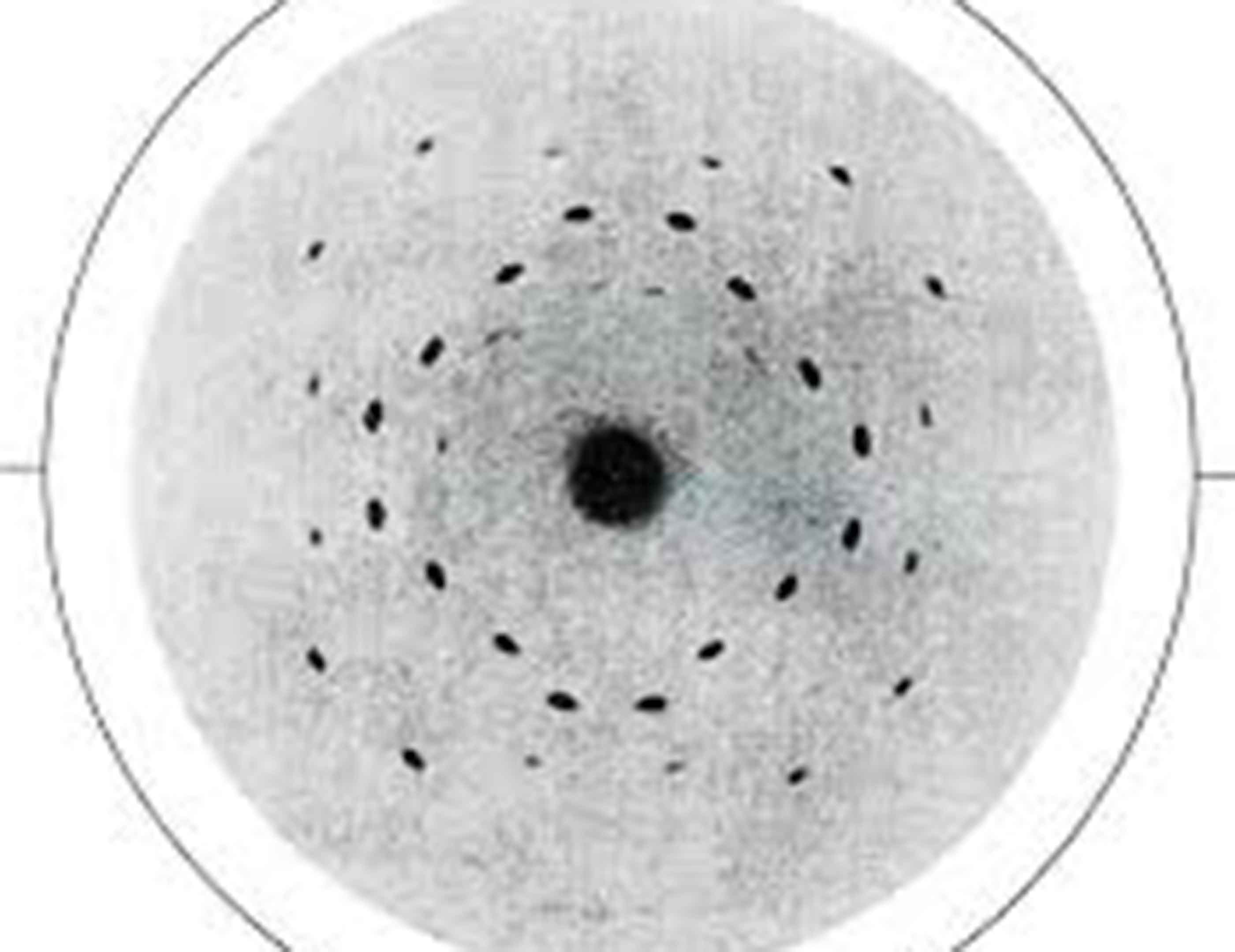 Max von Laue, Kristall