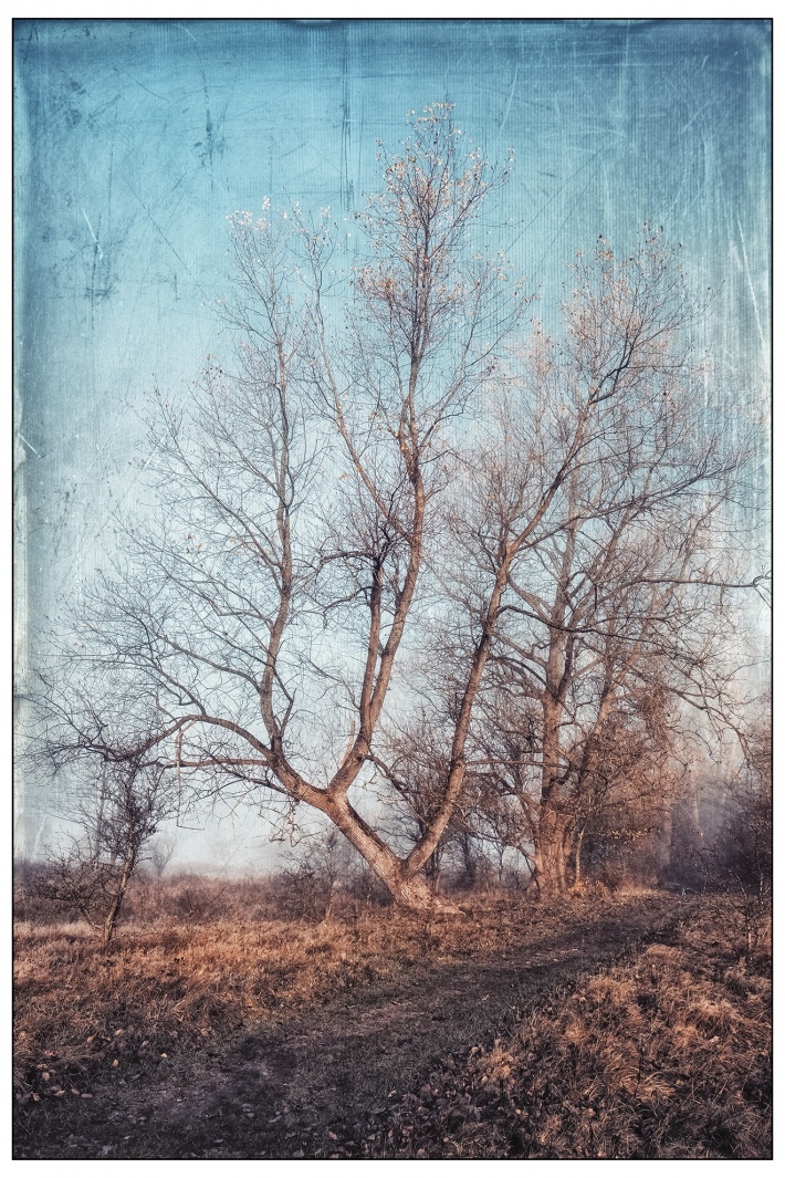 20 11 16 Heiko Wetphalen