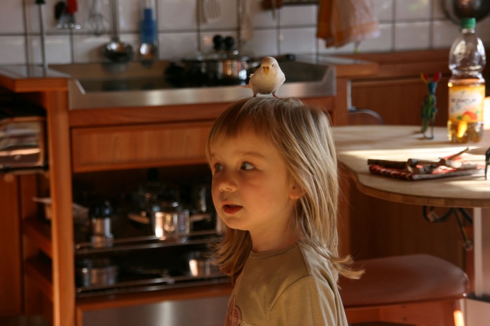 20 11 16 uwe koch k
