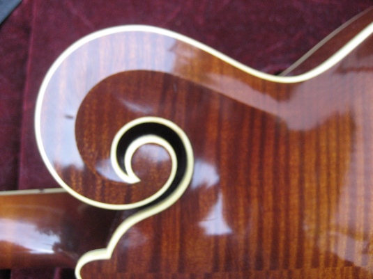 20 11 18 wolfgang w Striebinger k