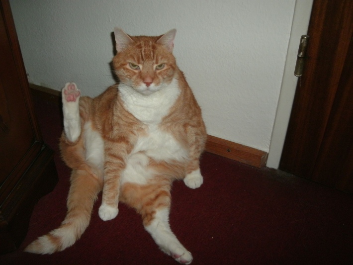 Test Ramses v2