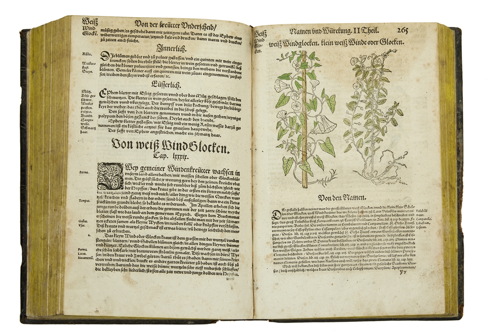 MT Kraeuterbuch64 06 b frei