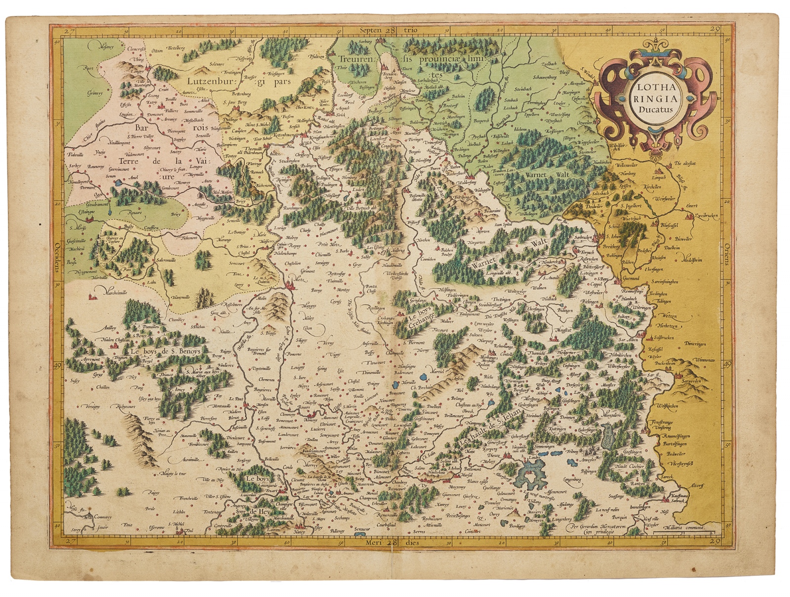 MT Mercator 63b 1 frei