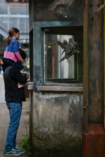 preview UNESCO Welterbetag 93287