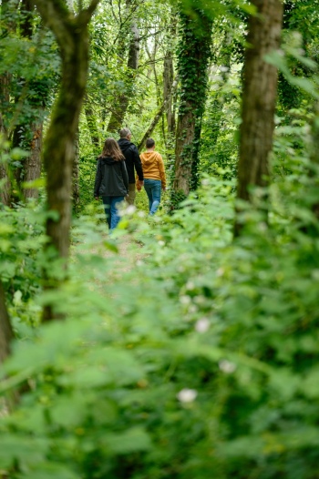 preview UNESCO Welterbetag 93297