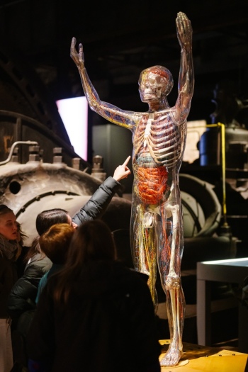 preview Der glaeserne Mensch