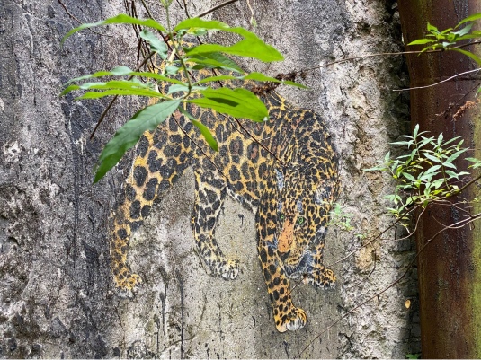 Leopard mit Gruen Komplettansicht 2000px Foto Ralf Beil