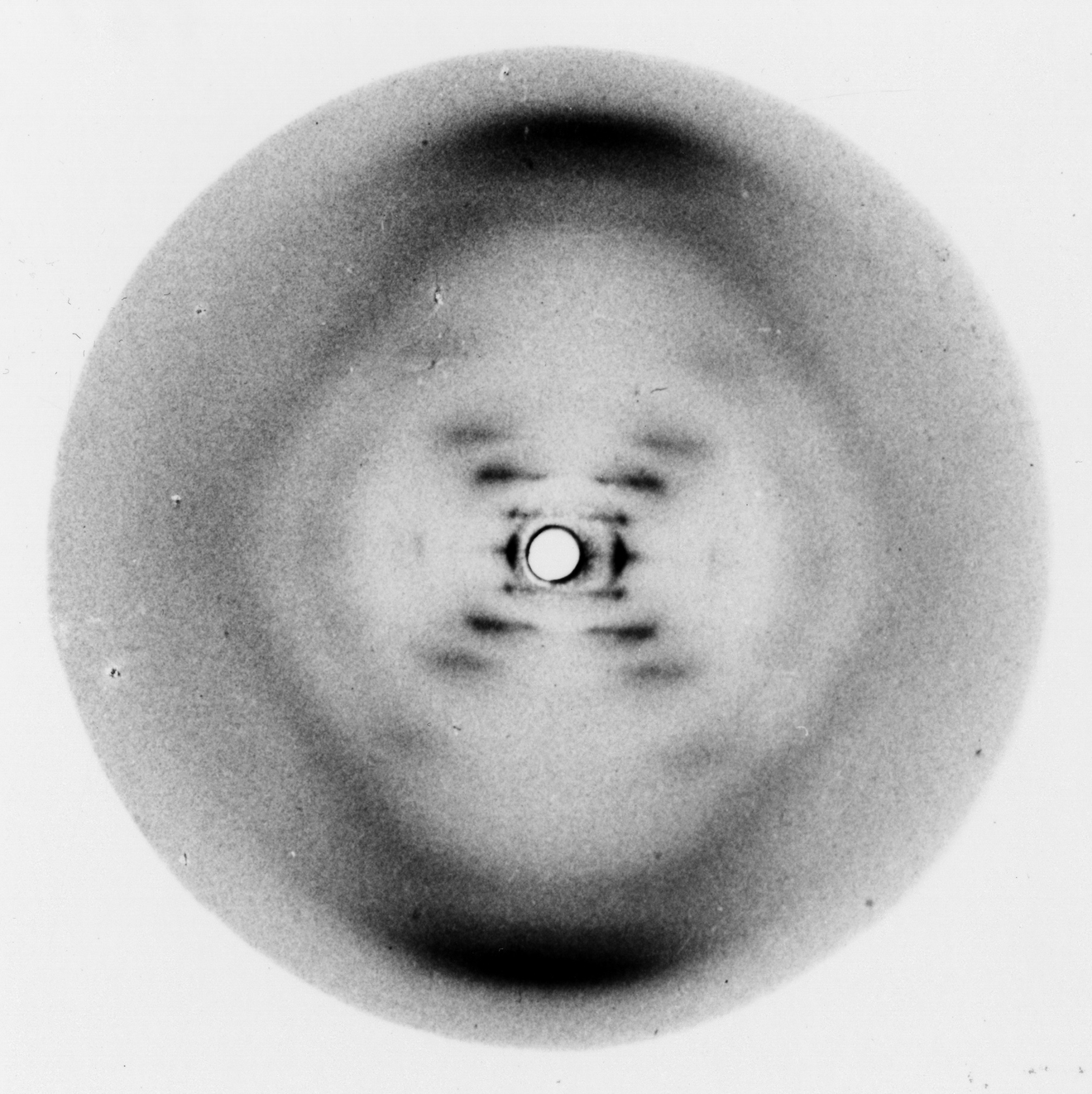 Franklin Photo 51 x ray diffraction image