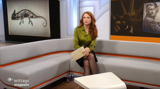 ZDF MIttagsmagazin 21.11.2025