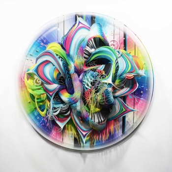 Crystal Wagner iris elementum front