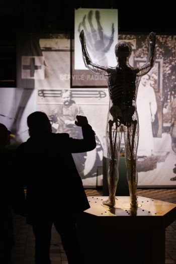 preview WKE X Ray 127657