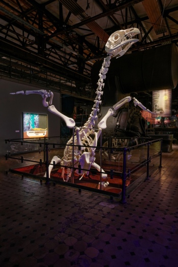 preview X RAY Ausstellungsansicht Andreas Greiner MONUMENT FOR THE 308