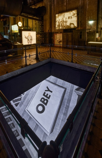 preview X Ray 32.1 b 30cm Hoehe